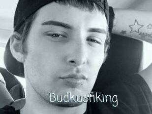 Budkushking