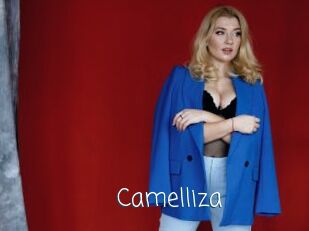 Camelliza