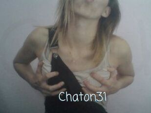 Chaton31