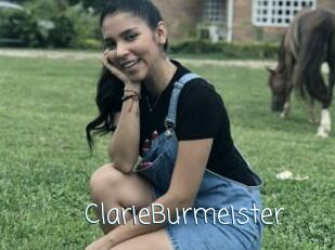 ClarieBurmeister
