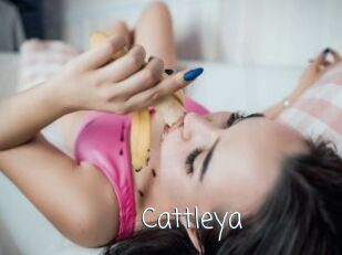 _Cattleya