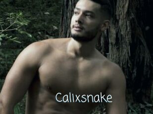 Calixsnake