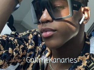 Callmekanaries