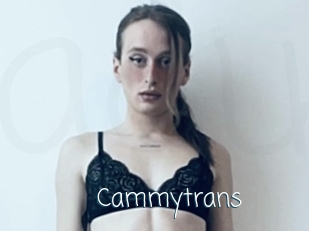 Cammytrans