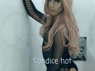 Candice_hot