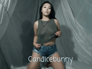 Candicebunny