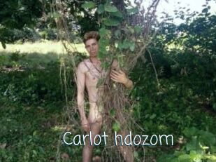 Carlot_hdozom