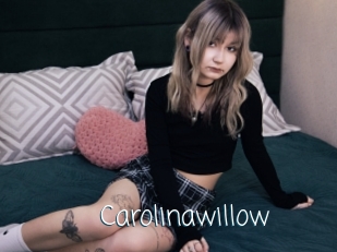 Carolinawillow