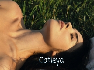 Catleya