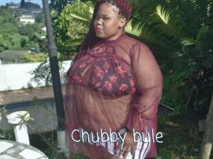 Chubby_bule