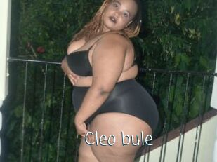 Cleo_bule