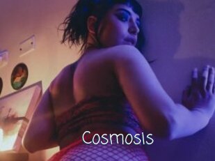 Cosmosis