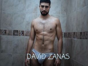 DAVID_ZANAS