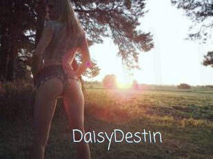 DaisyDestin