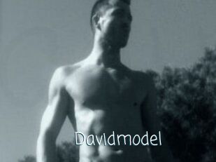 Davidmodel