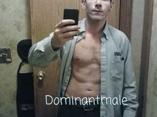 Dominantmale