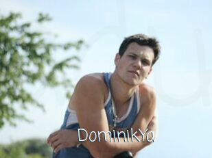 DominikYa