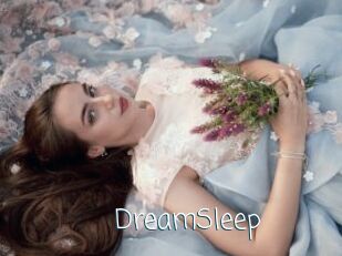 DreamSleep