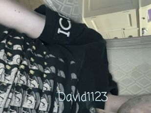 David1123