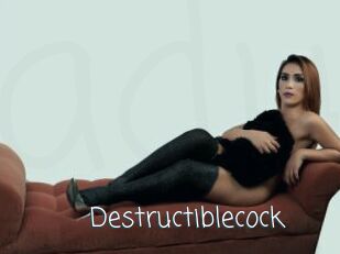 Destructiblecock