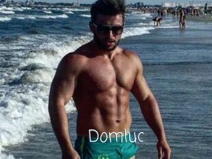 Domluc