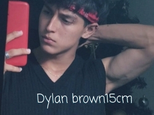 Dylan_brown15cm