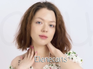 Elenecaris