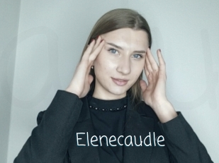 Elenecaudle