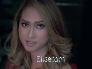Elisecam