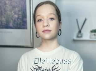 Ellettebuss