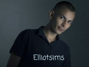 Elliotsims