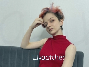 Elvaatcher