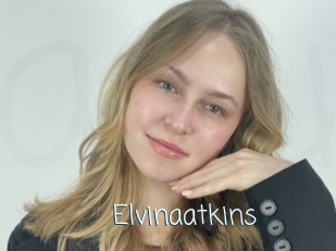 Elvinaatkins