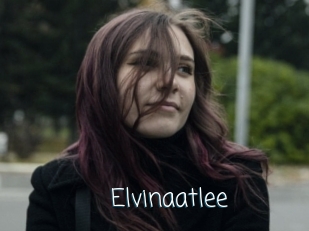 Elvinaatlee