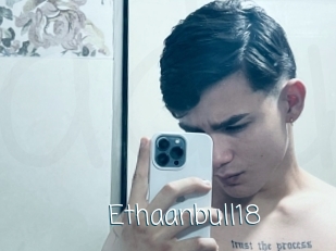 Ethaanbull18