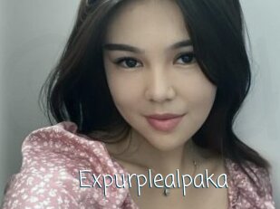 Expurplealpaka