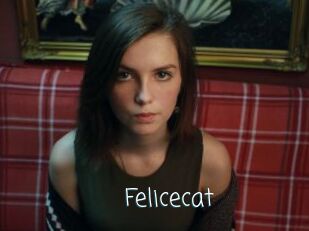 Felicecat