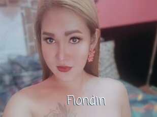 Fiondin