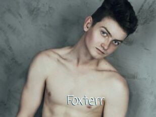 Foxterr