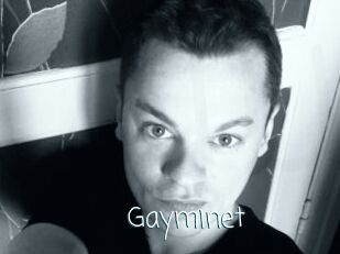 Gayminet