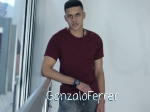 GonzaloFerrer