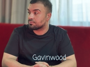gavinwood Adult o Porn