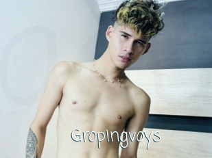 Gropingvoys