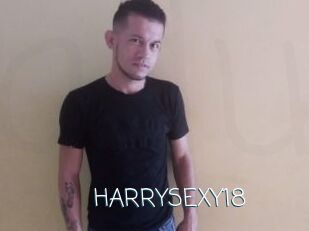 HARRYSEXY18 Adult o Porn