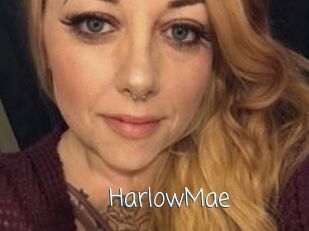 Harlow_Mae