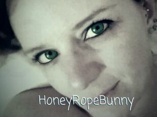 HoneyRopeBunny