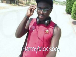 Hornyblackboy