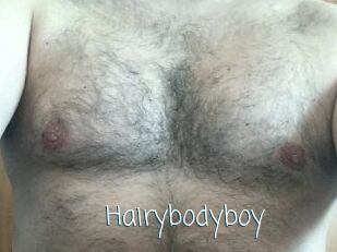 Hairybodyboy