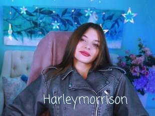 Harleymorrison