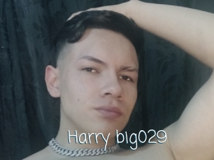 Harry_big029